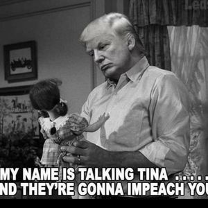 Meet your Posher, Tina